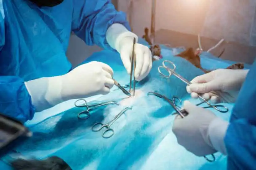 What is RHC Medical's Veterinary Surgical Equipment?
