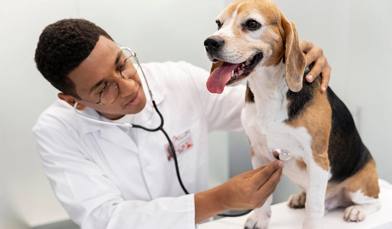 FAQs of RHC Animal Medical Devices