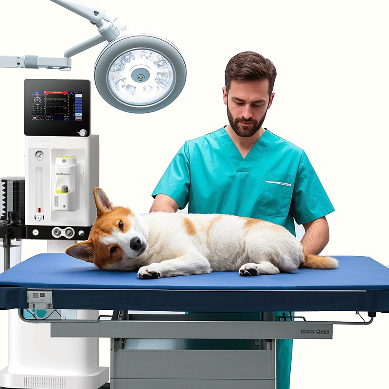 Benefits of Veterinary Anesthetic Machine from RHC Medical