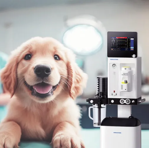 From Quiet Tech to Loud Impact: The V5 Plus Veterinary Anesthesia Workstation Behind Every Safe Paw By RHC Medical