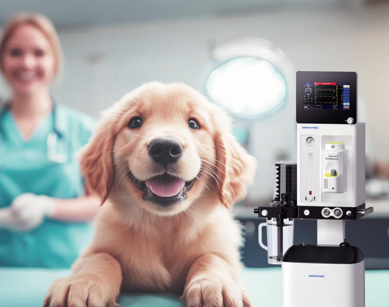 from-quiet-tech-to-loud-impact-the-v5-plus-behind-every-safe-paw-by-beijing-real-healthcare-medical-equipment-co-ltd.jpg