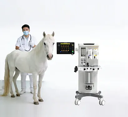 Anesthesia Machines