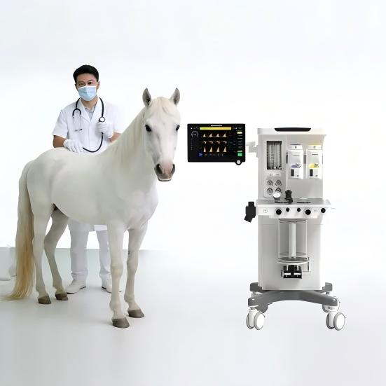 /uploads/image/2026/06/17/engineering-large-animal-safety-key-technical-standards-for-choosing-an-equine-anesthesia-machine.jpg engineering-large-animal-safety-key-technical-standards-for-choosing-an-equine-anesthesia-machine.jpg
