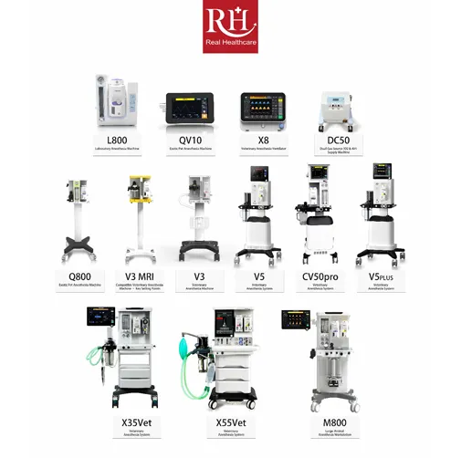 Comprehensive Veterinary Anesthesia and Respiratory Solutions for Modern Animal Healthcare
