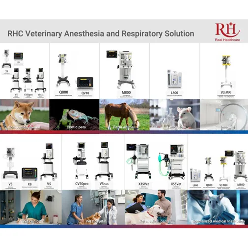 Meet RHC: Your Trusted Partner in Global Veterinary Anesthesia